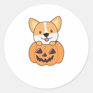 Corgi in Pumpkin Niedliche Hunde glücklich Hallowe Runder Aufkleber