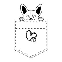 Corgi in Tasche mit Weihnachtsmannmütze | Weihnach