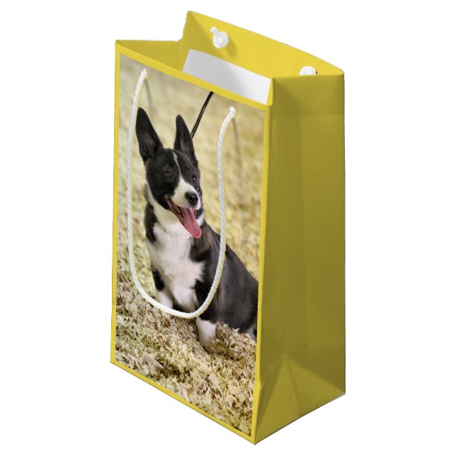 Corgi Kleine Geschenktüte (Vorderseite Schrägansicht)