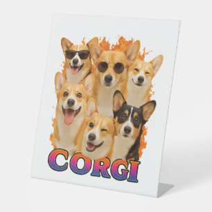 Corgi Kopie Sockelschild