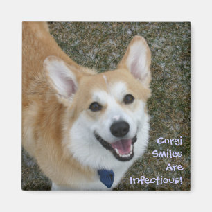 Corgi-Lächeln ist ansteckend! Magnet