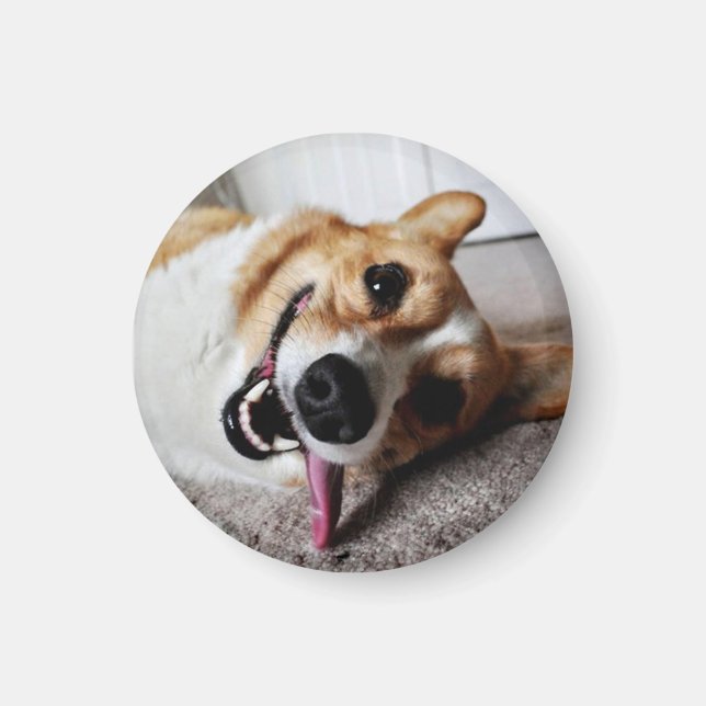 Corgi Magnet (Vorne)