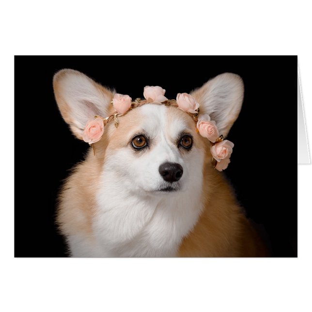 Corgi mit Blume in ihrem Haar (Vorderseite (Horizontal))