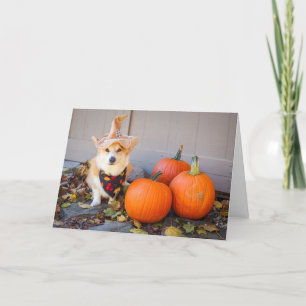 Corgi mit Pumpkin-Erntedank-Karte Karte
