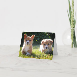 Corgi (Pembroke Welsh) Welppy Dog Note Card Karte