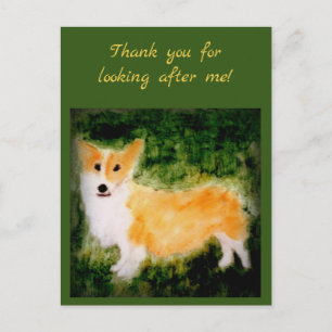 Corgi Pet Fotograf Vielen Dank Postkarte