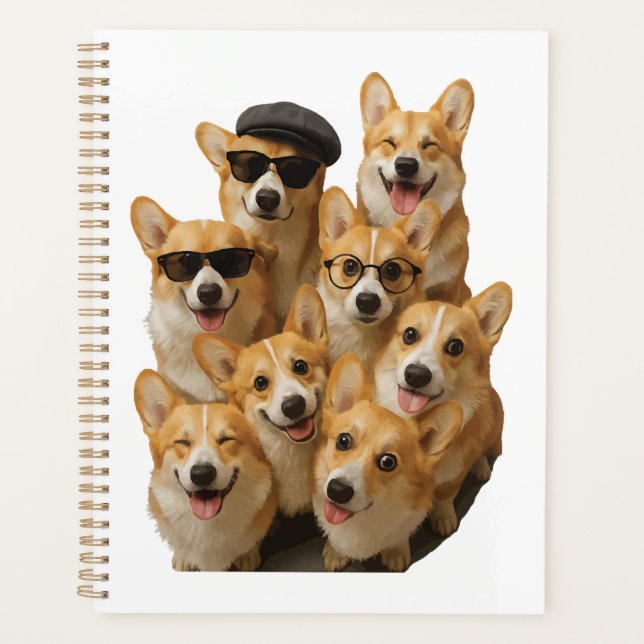 Corgi Planer (Vorderseite)