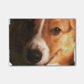 Corgi Post-it Klebezettel