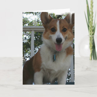 Corgi Puppy Dog Grußkarte Karte