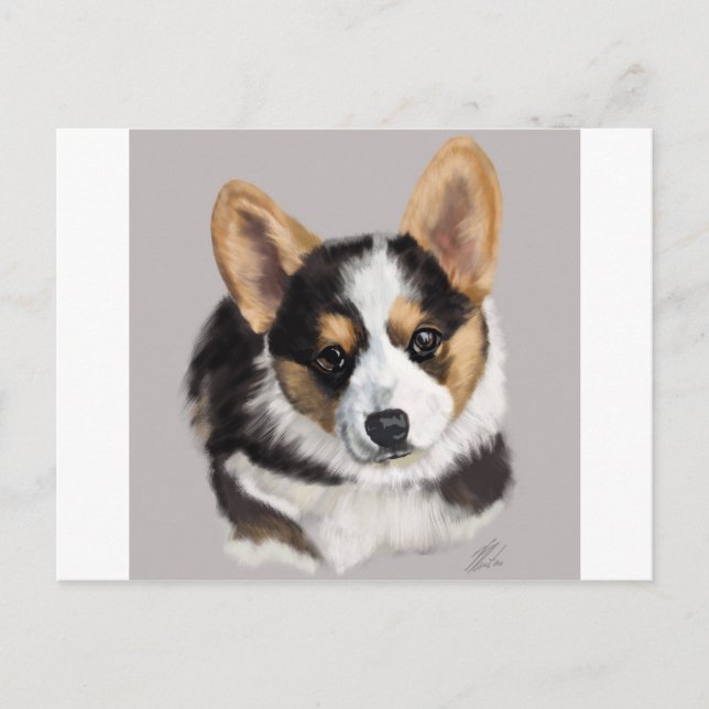 Corgi Puppy Postkarte (Vorderseite)