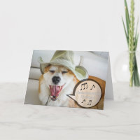 Corgi singt Geburtstag