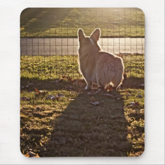 Corgi-Sonnenaufgang Mousepad