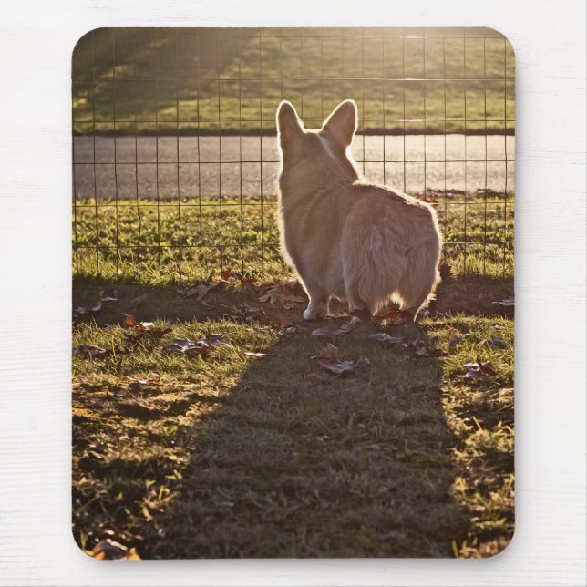 Corgi-Sonnenaufgang Mousepad (Vorne)