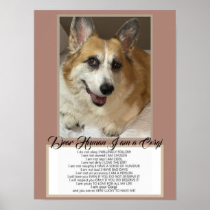Corgi Speaks Poster