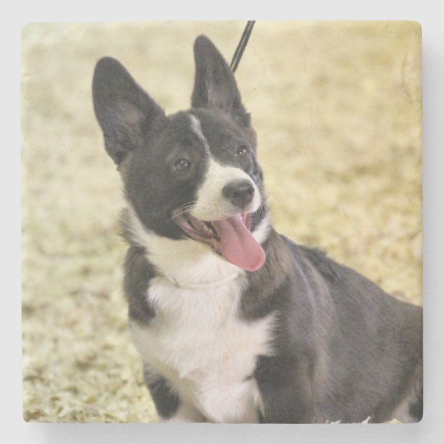 Corgi Steinuntersetzer (Vorderseite)