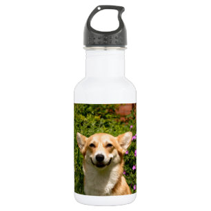 CORGi Trinkflasche