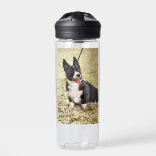 Corgi Trinkflasche