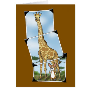 Corgi-und Giraffen-Schnappschüsse