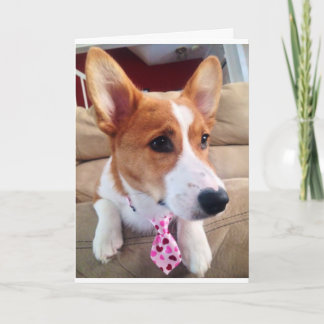 Corgi Valentine's Day Card Feiertagskarte