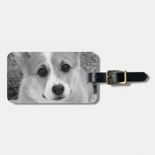 Corgi-Welpe Gepäckanhänger (Vorderseite horizontal)