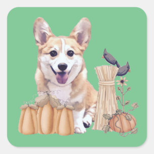 Corgi Welpe im Herbst Quadratischer Aufkleber