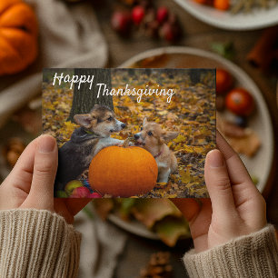 Corgi Welpen mit Pumpkin Happy Thanksgiving Postkarte
