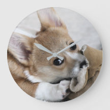 Corgi-Welpen-Wanduhr