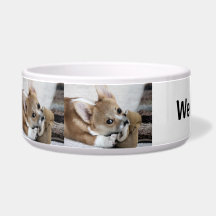 Corgi-Welpen"wir Liebe Corgis-"