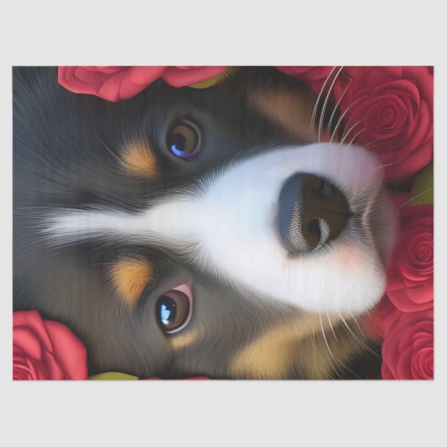 Corgi Welppy in rote Rosen Seidenpapier (Vorderseite)