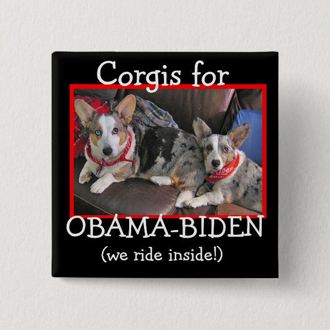 Corgis für Obama-Biden Button (Vorderseite)