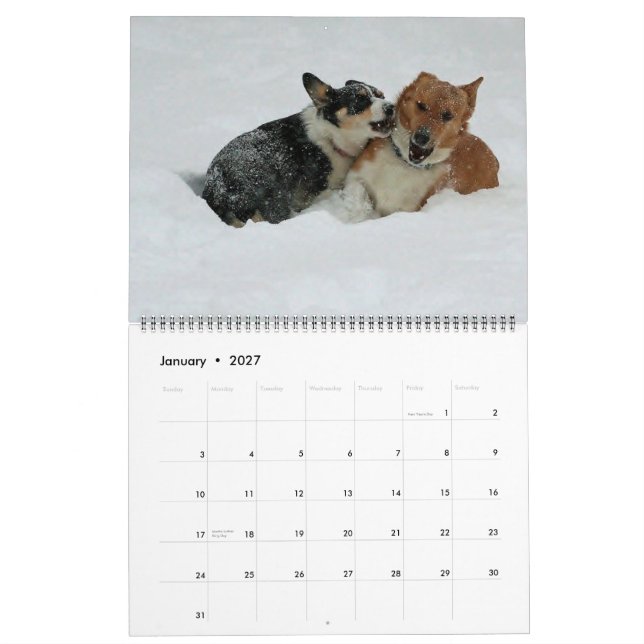 Corgis unterwegs2014 kalender (Jan 2027)