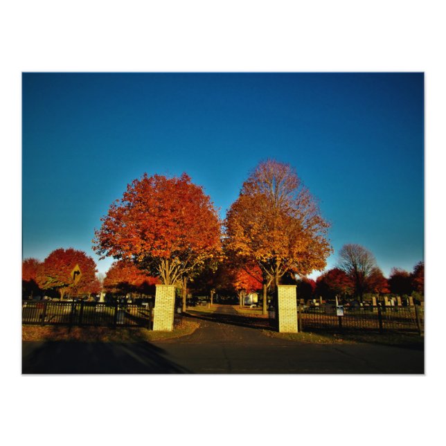 "Corinthian Colors" Fotodruck (Vorne)