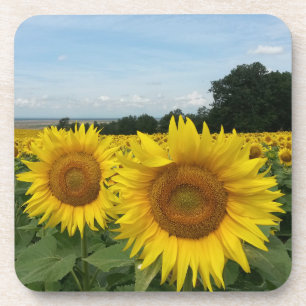 Cork Coaster with Sunflower Getränkeuntersetzer