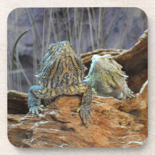 Cork Coaster with two curious lizards Getränkeuntersetzer