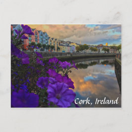Cork, Ireland Flowers, River Lee Postcard Postkarte