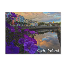 Cork, Ireland Flowers, River Lee Postcard