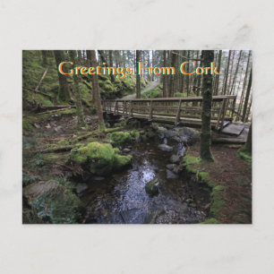 Cork Ireland Postcard Postkarte