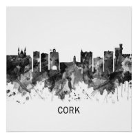 Cork Ireland Skyline BW