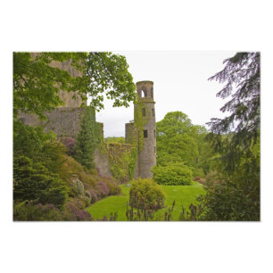 Cork, Irland. Das berüchtigte Schloss Blarney 2 Fotodruck