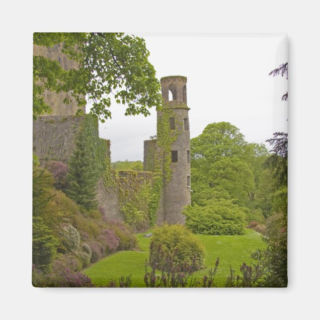 Cork, Irland. Das berüchtigte Schloss Blarney 2 Magnet (Vorne)
