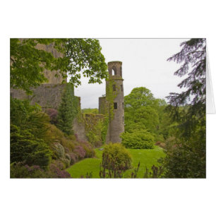 Cork, Irland. Die berüchtigte Burg Blarney 2