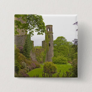 Cork, Irland. Die berüchtigte Burg Blarney 2 Button