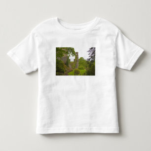 Cork, Irland. Die berüchtigte Burg Blarney 2 Kleinkind T-shirt