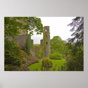 Cork, Irland. Die berüchtigte Burg Blarney 2 Poster