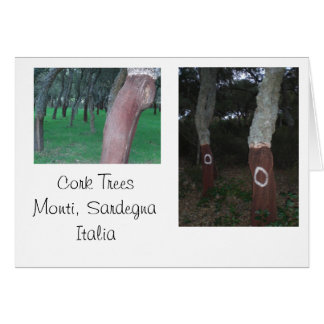 Cork Trees - Sardinien, Italien