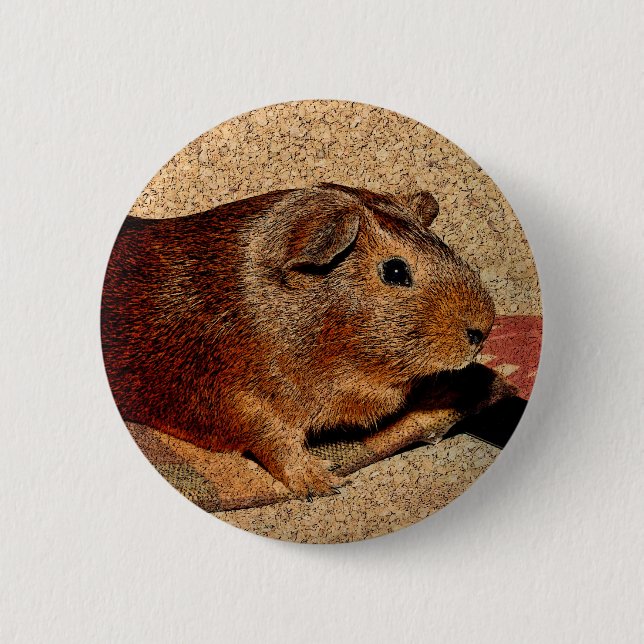 Corkboard Blick-Meerschweinchen Button (Vorderseite)