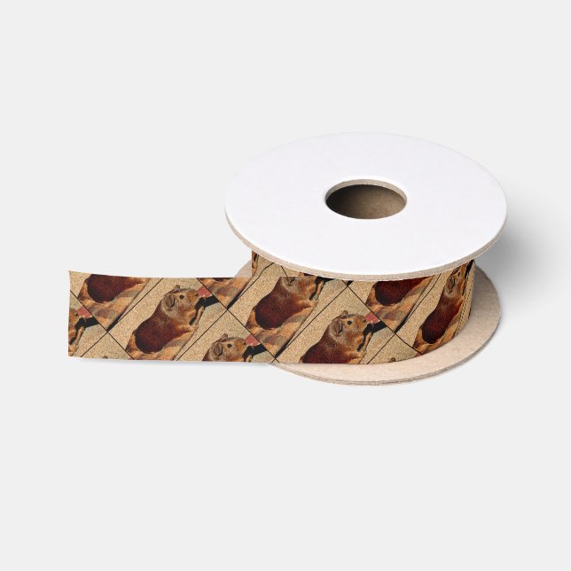 Corkboard Blick-Meerschweinchen Satinband (Spule)