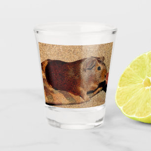 Corkboard Blick-Meerschweinchen Schnapsglas