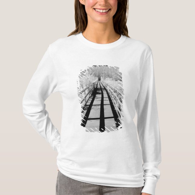 Corkschraube Sümpfe Wallfahrtsweg, Florida T-Shirt (Vorderseite)
