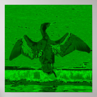 Cormoran Display Poster